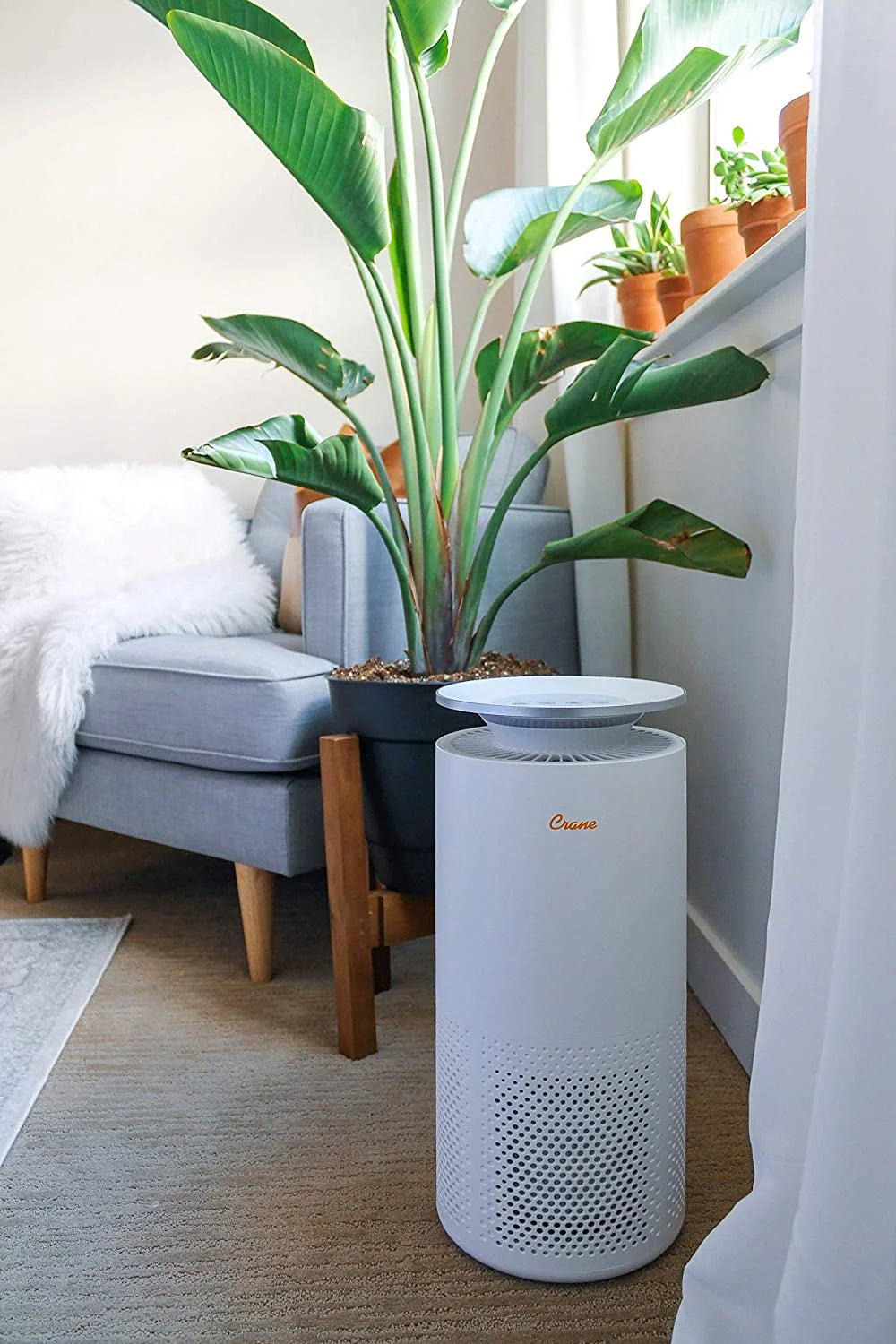 Air Purifier with True HEPA Filter W549597