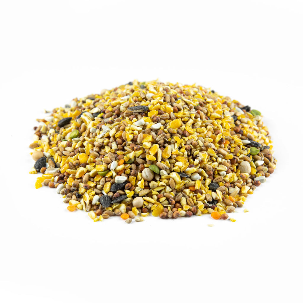 Poultry Scratch Grain 40 lb Y67919
