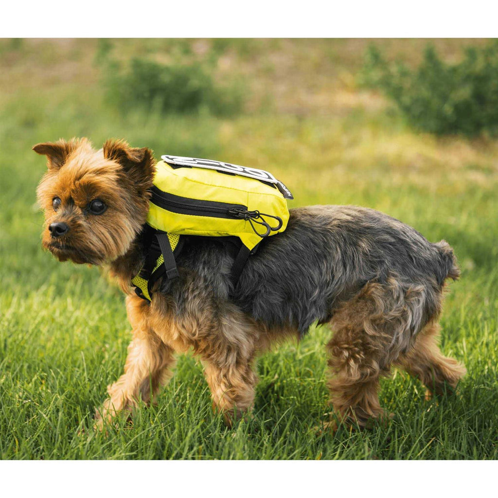 Walk On Dog Harness with Storage U4958