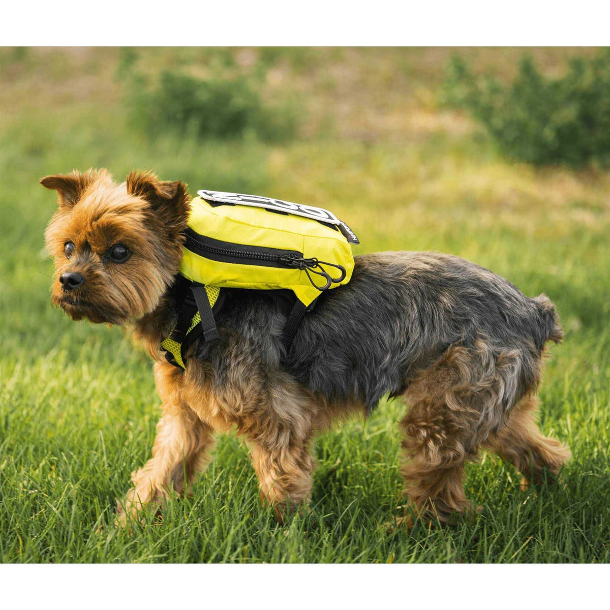 Walk On Dog Harness with Storage U4958