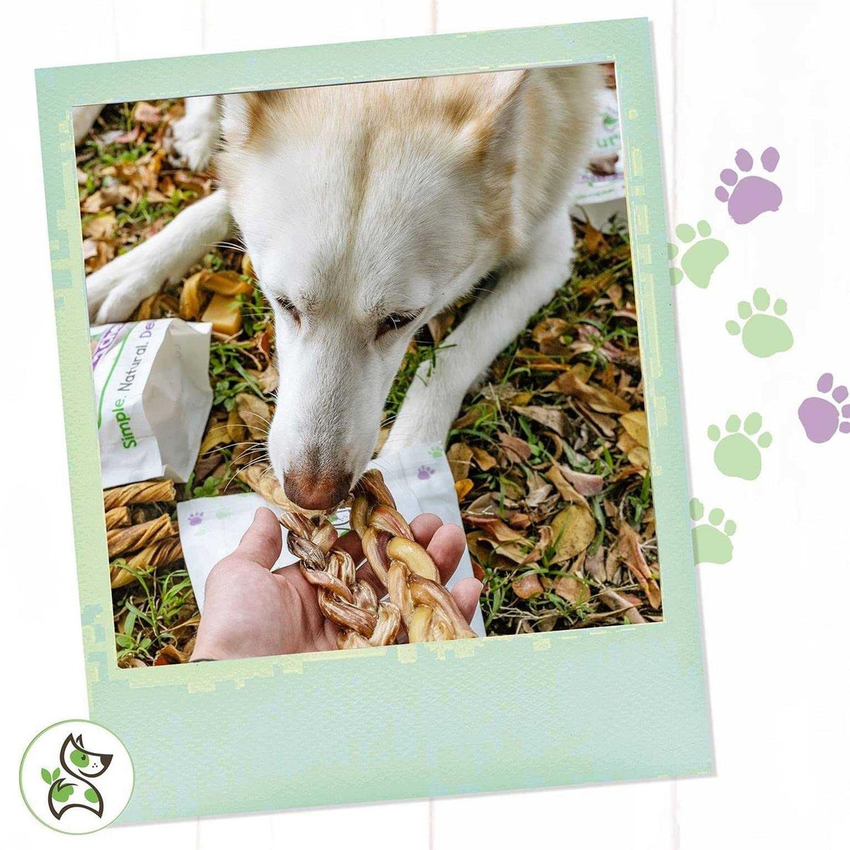 Braided Bully Sticks for Dogs Natural Beef Bones V882423