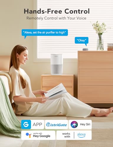 Mini HEPA Smart Air Purifier with 3 Speeds, 2 Modes, Timer I491