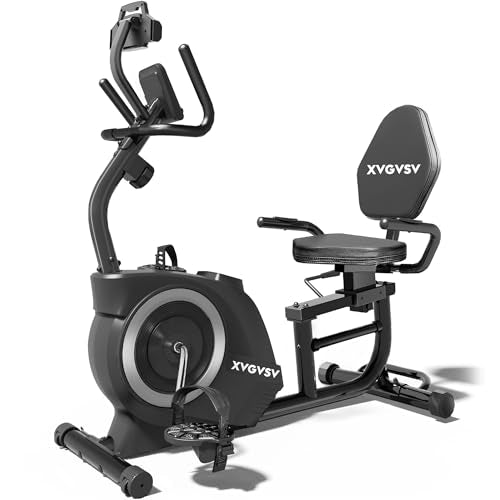 Recumbent Exercise Bike with 400LB Weight Capacity Magnetic Resistance W420