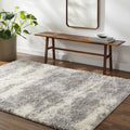 Gray Brown Plush Pile Area Rug 2' x 3' L27491
