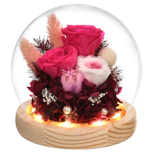 Preserved Real Rose in Glass Dome with LED Light Q840