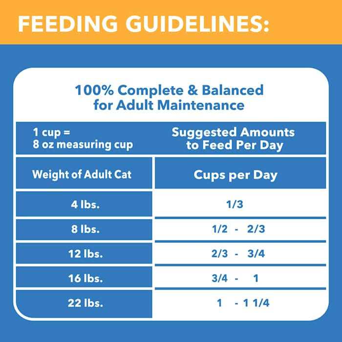 Chicken & Beef Dry Cat Food H416664