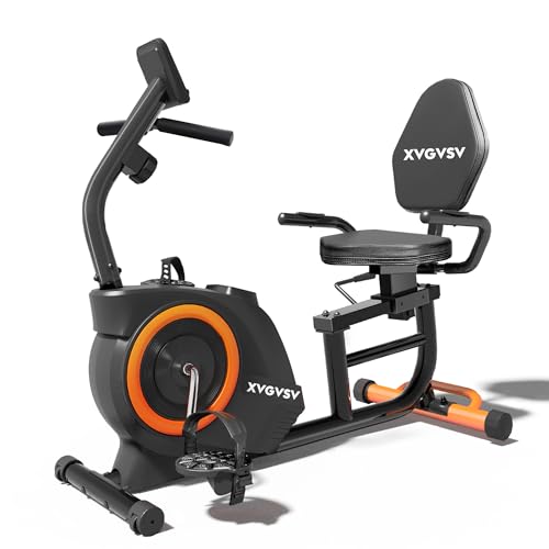 Recumbent Exercise Bike with 400LB Weight Capacity Magnetic Resistance W420