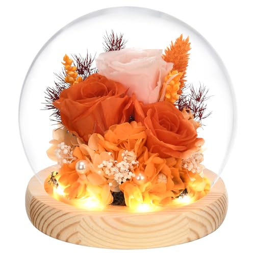 Preserved Real Rose in Glass Dome with LED Light Q840
