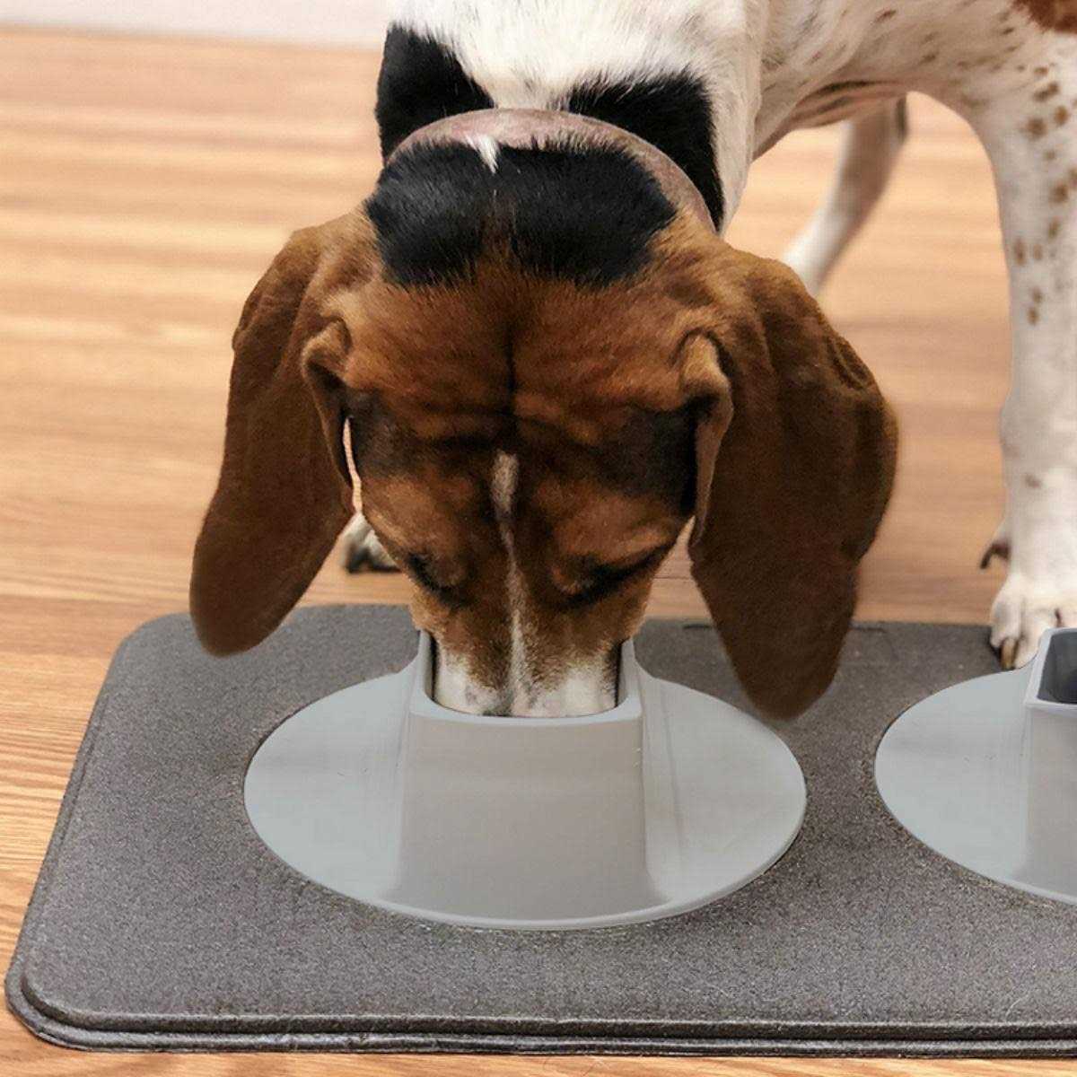 Pet Feeding Station W80713