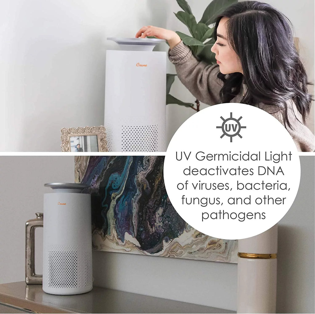 Air Purifier with True HEPA Filter W549597