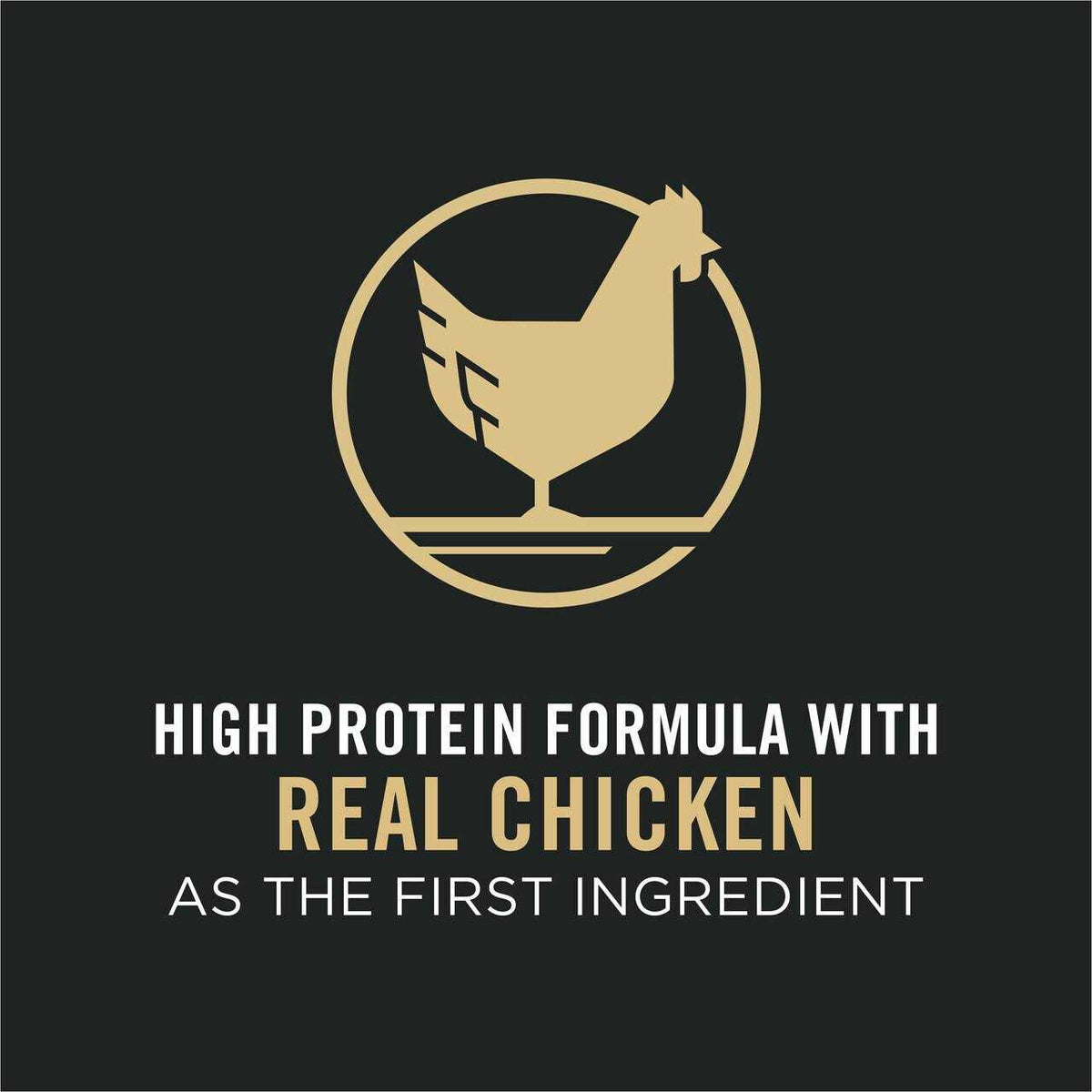 Chicken and Rice Formula Senior Dry Cat Food X66818