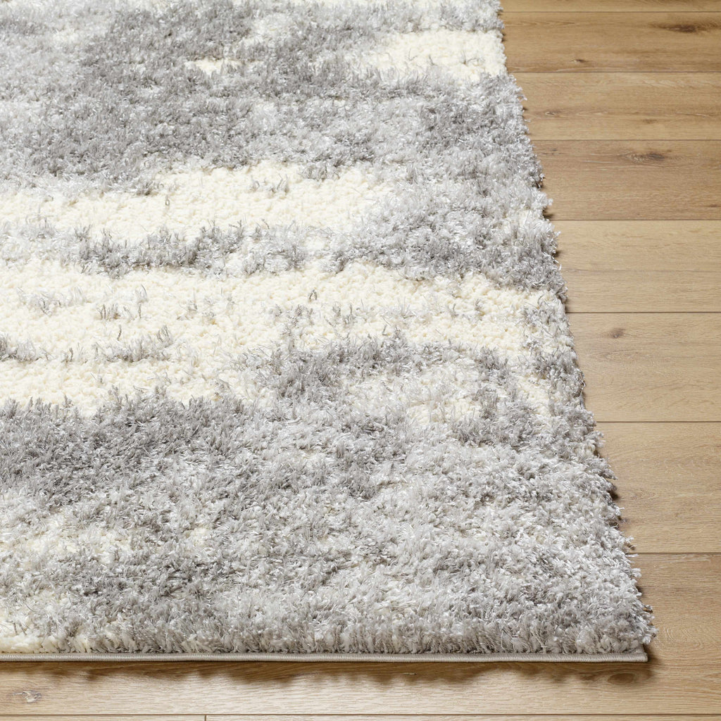 Gray Brown Plush Pile Area Rug 2' x 3' L27491