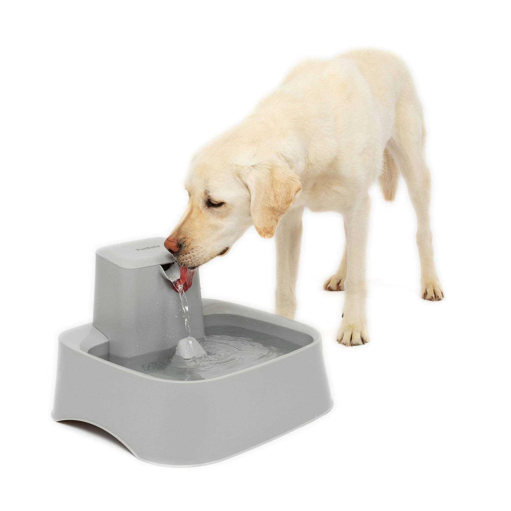 2 Gallon Fountain V711
