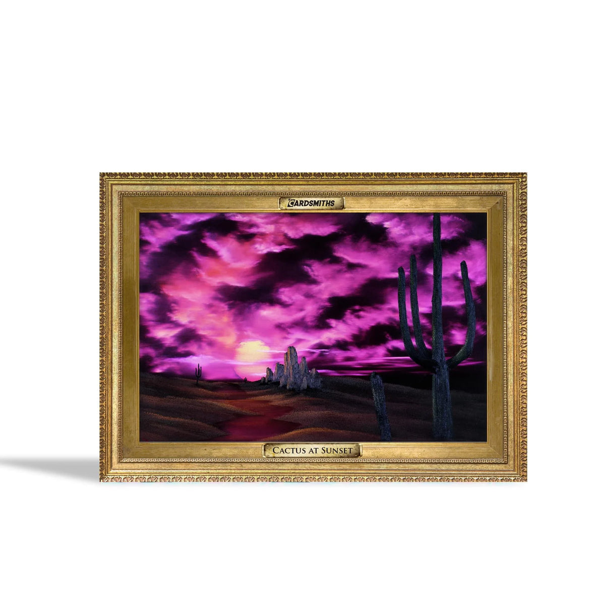 Trading Cards 2-Pack Collector Box P51709