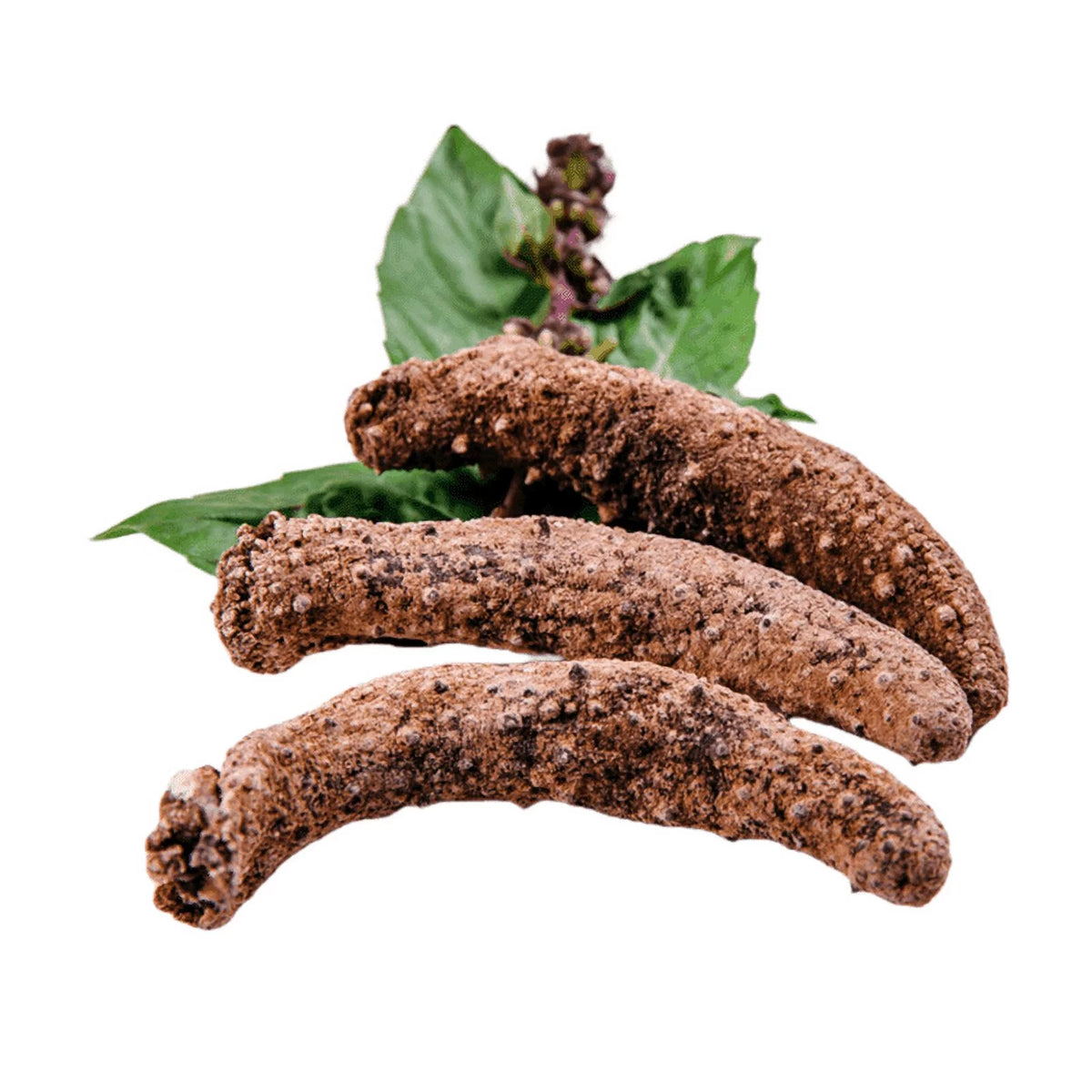 Dried Wild Caught Sea Cucumber Medium Size 5-7 pieces 4oz Y398