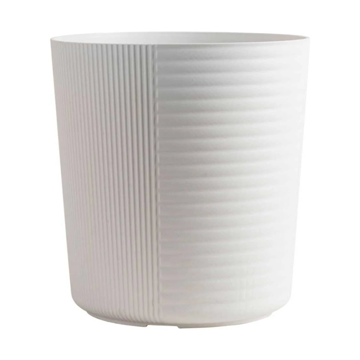 White Bird of Paradise Plant in White Pot Q893