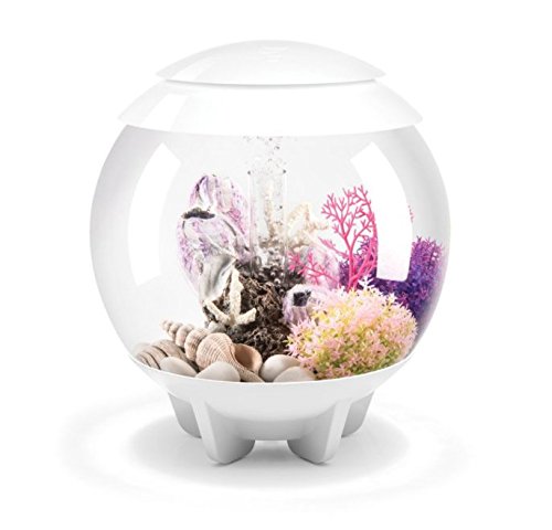 Aquarium with MCR Lighting A6072