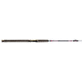 Silver Cat Magnum 10 ft Spinning Rod O222