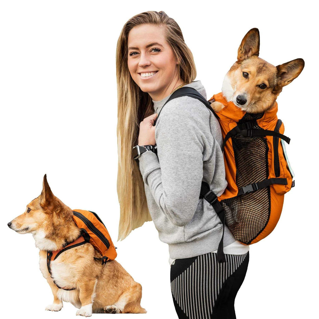 Walk On Dog Harness with Storage U4958