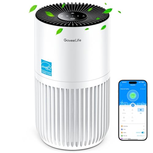 Mini HEPA Smart Air Purifier with 3 Speeds, 2 Modes, Timer I491