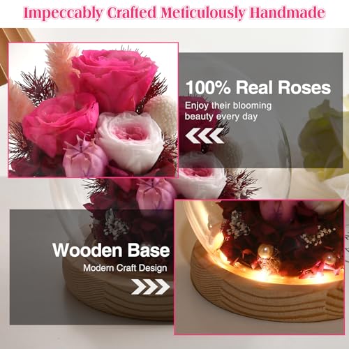 Preserved Real Rose in Glass Dome with LED Light Q840