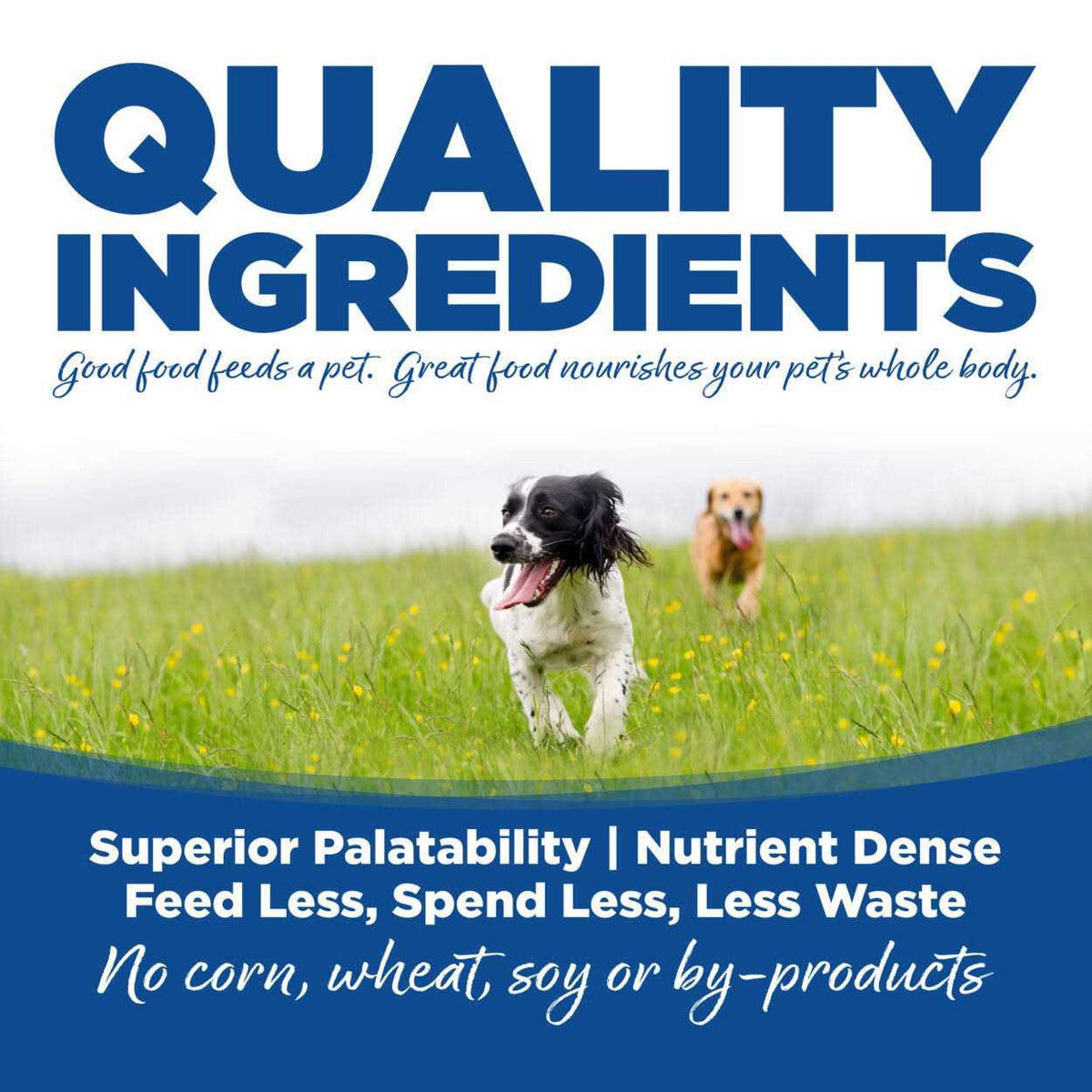 Whitefish Meal Rice Recipe Dry Dog Food Z90338
