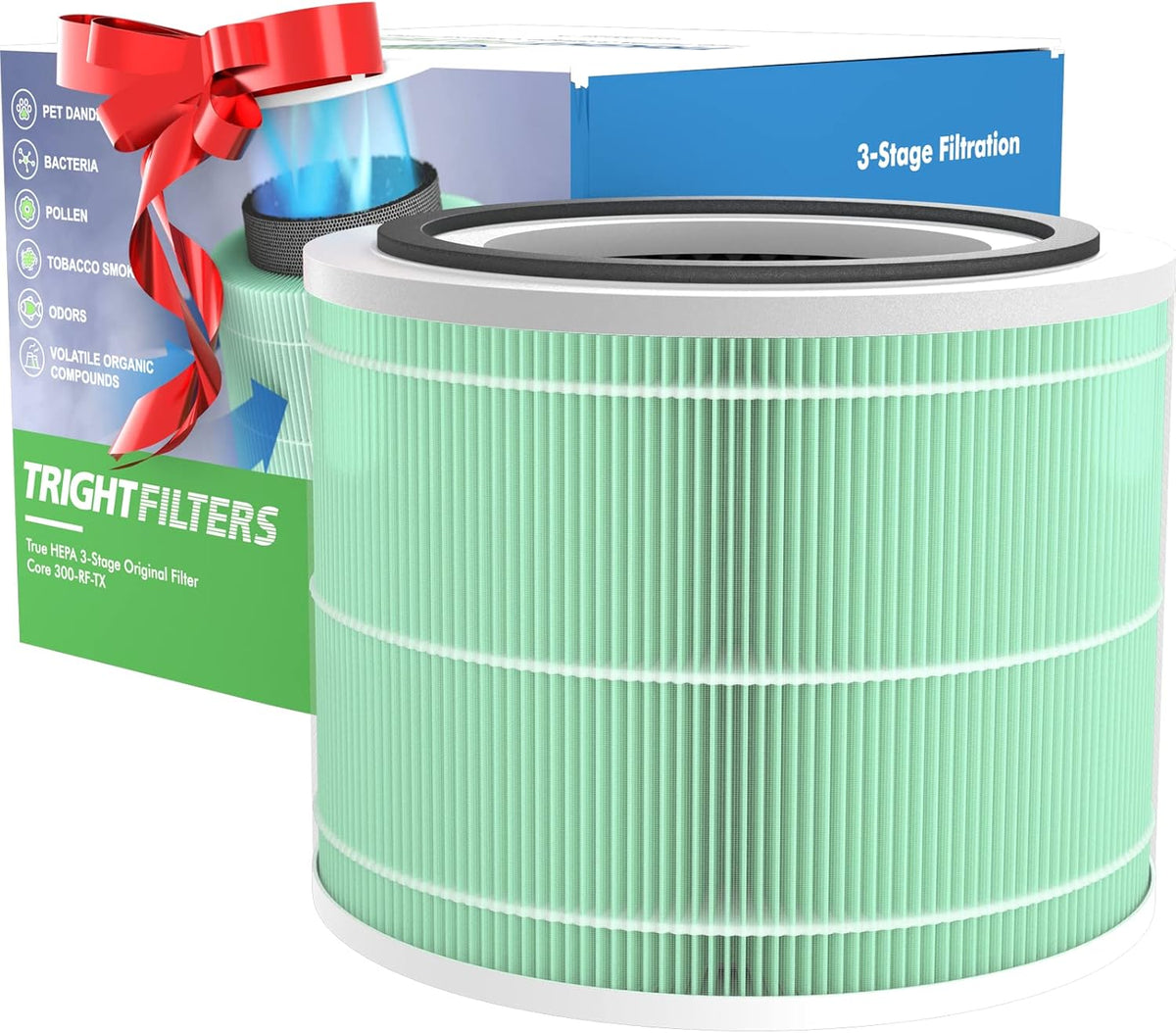Core 300 3-in-1 True HEPA Activated Carbon Filter Replacement H32335