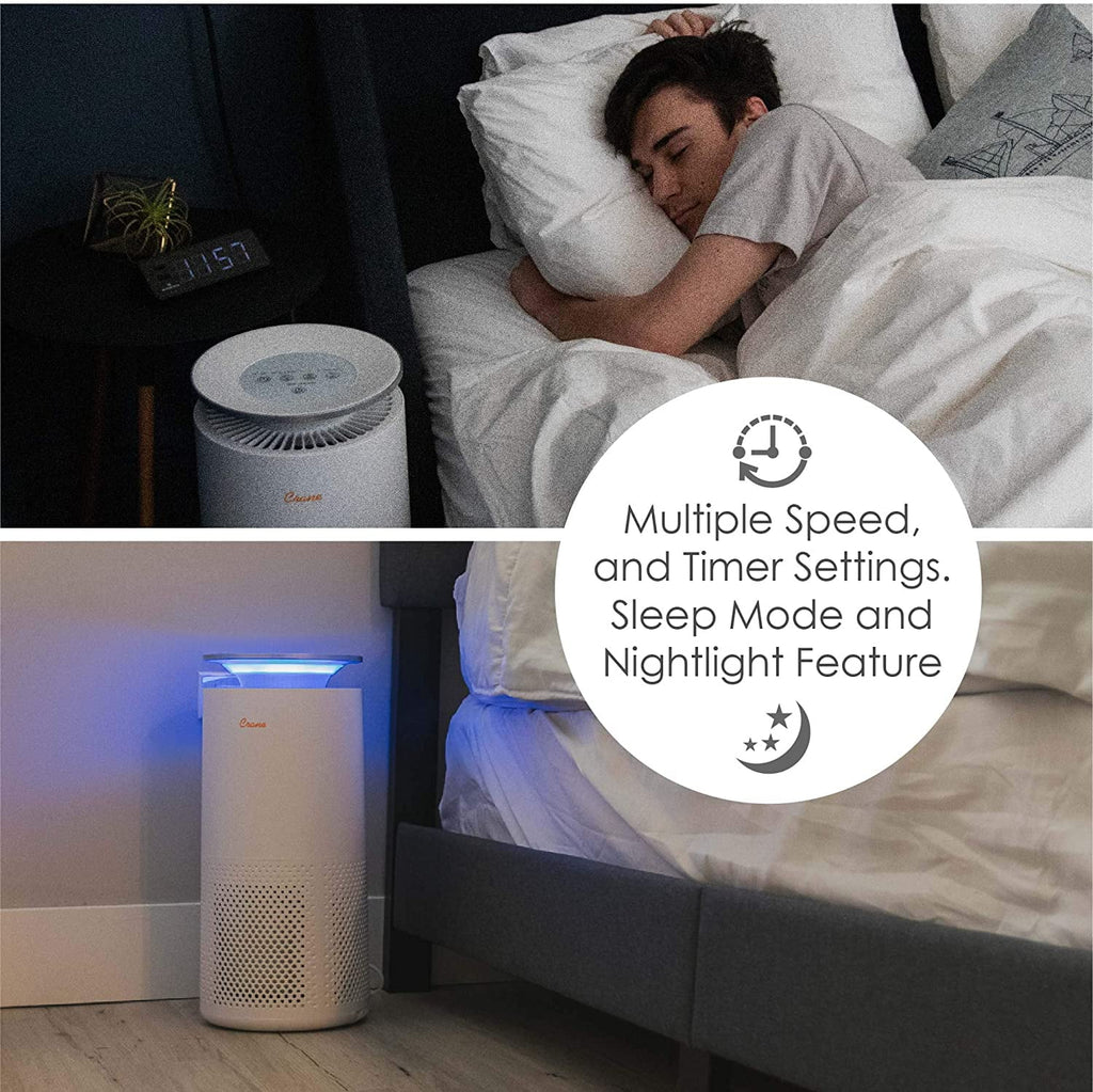 Air Purifier with True HEPA Filter W549597