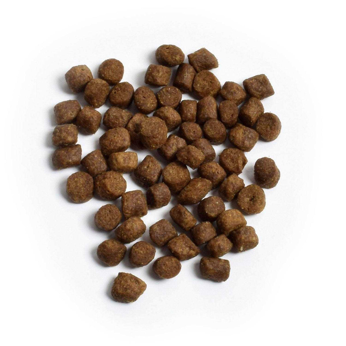 Grain Free Turkey & Chicken Dry Dog Food P8152