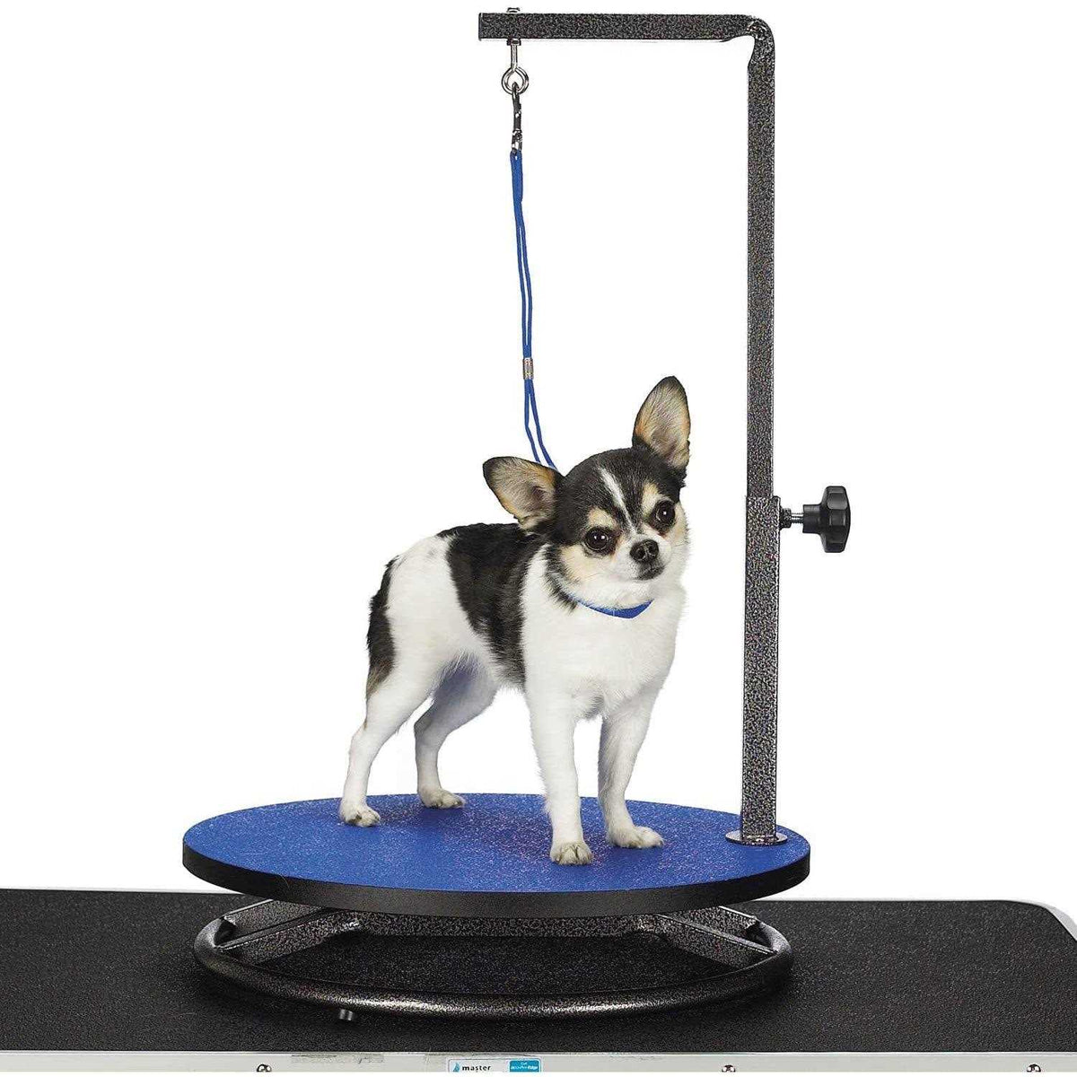 Small Pet Grooming Table D70166
