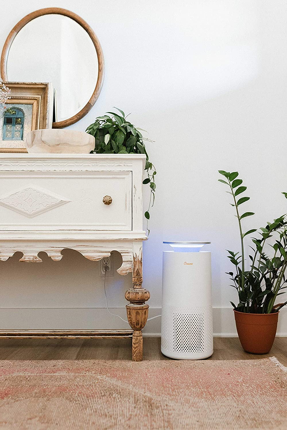 Air Purifier with True HEPA Filter W549597