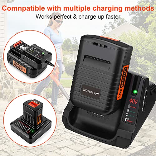 40 Volt 2.0Ah Lithium Battery R12786