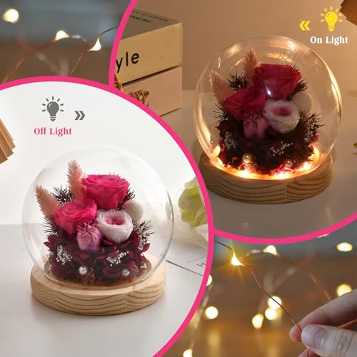 Preserved Real Rose in Glass Dome with LED Light Q840