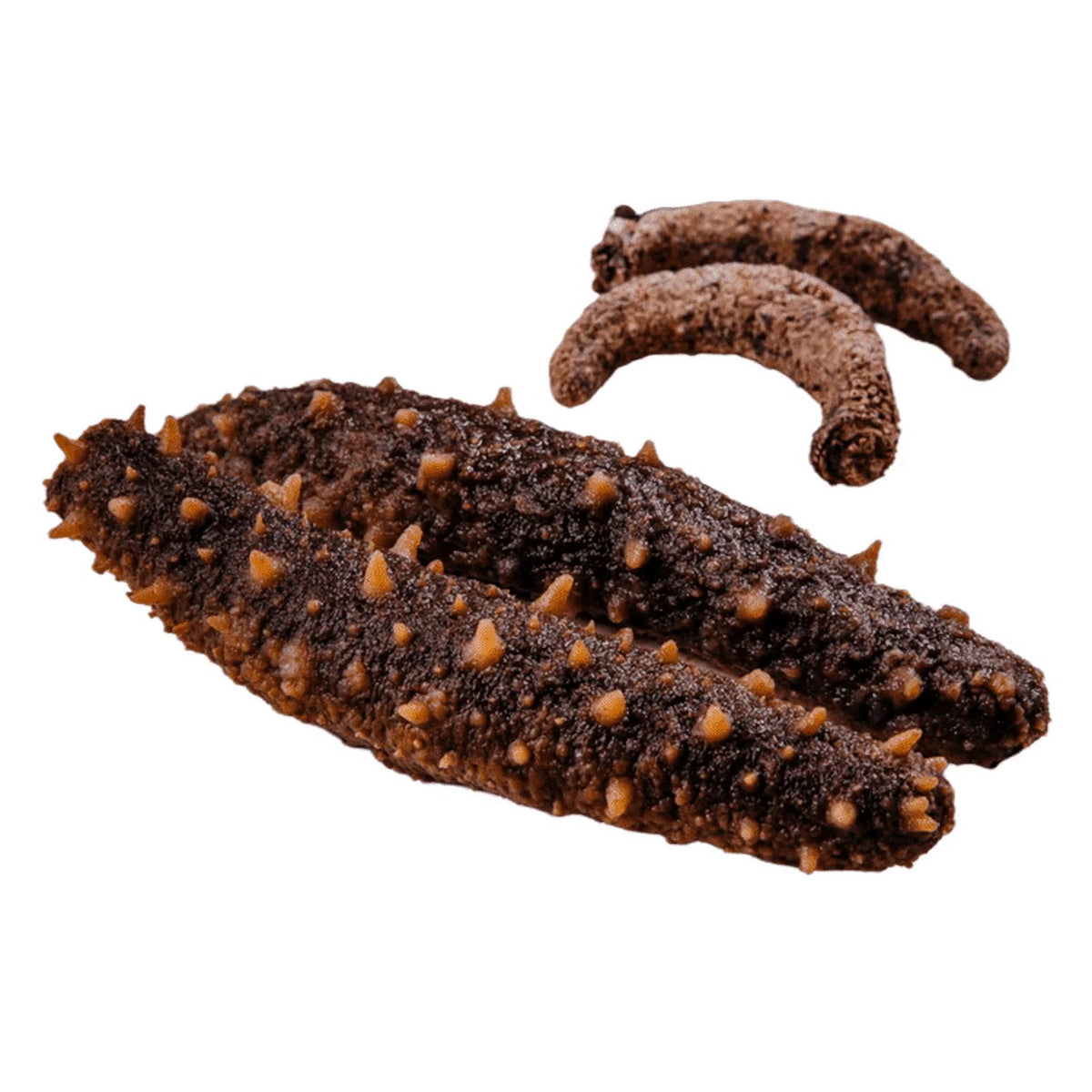 Dried Wild Caught Sea Cucumber Medium Size 5-7 pieces 4oz Y398