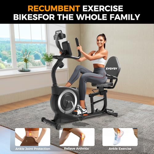 Recumbent Exercise Bike with 400LB Weight Capacity Magnetic Resistance W420