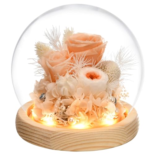 Preserved Real Rose in Glass Dome with LED Light Q840