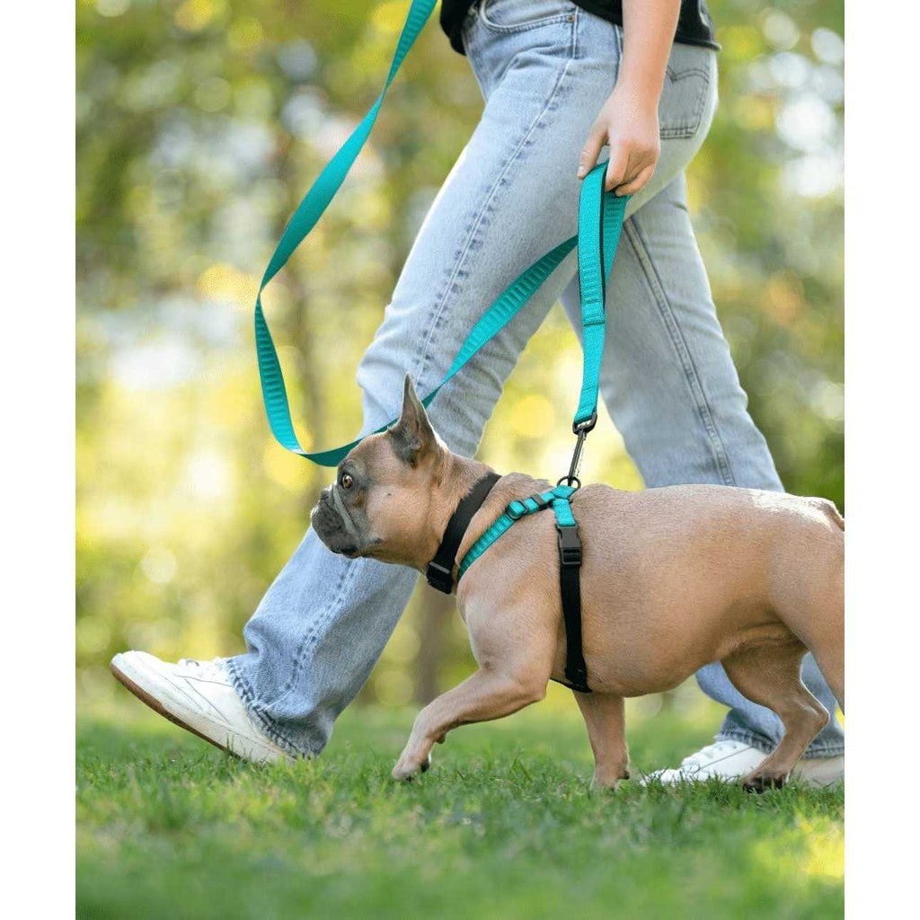 No-Pull Dog Harness V67805