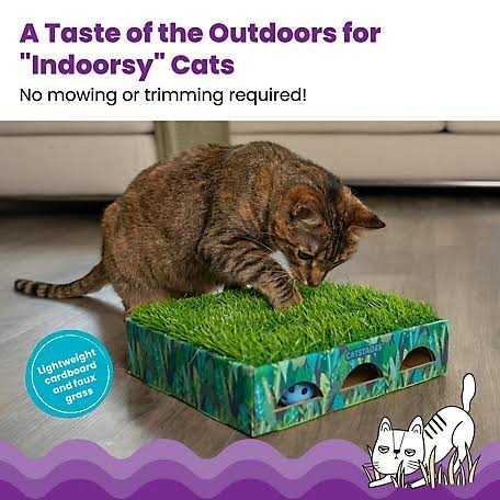 Grass Patch Cat Toy L951