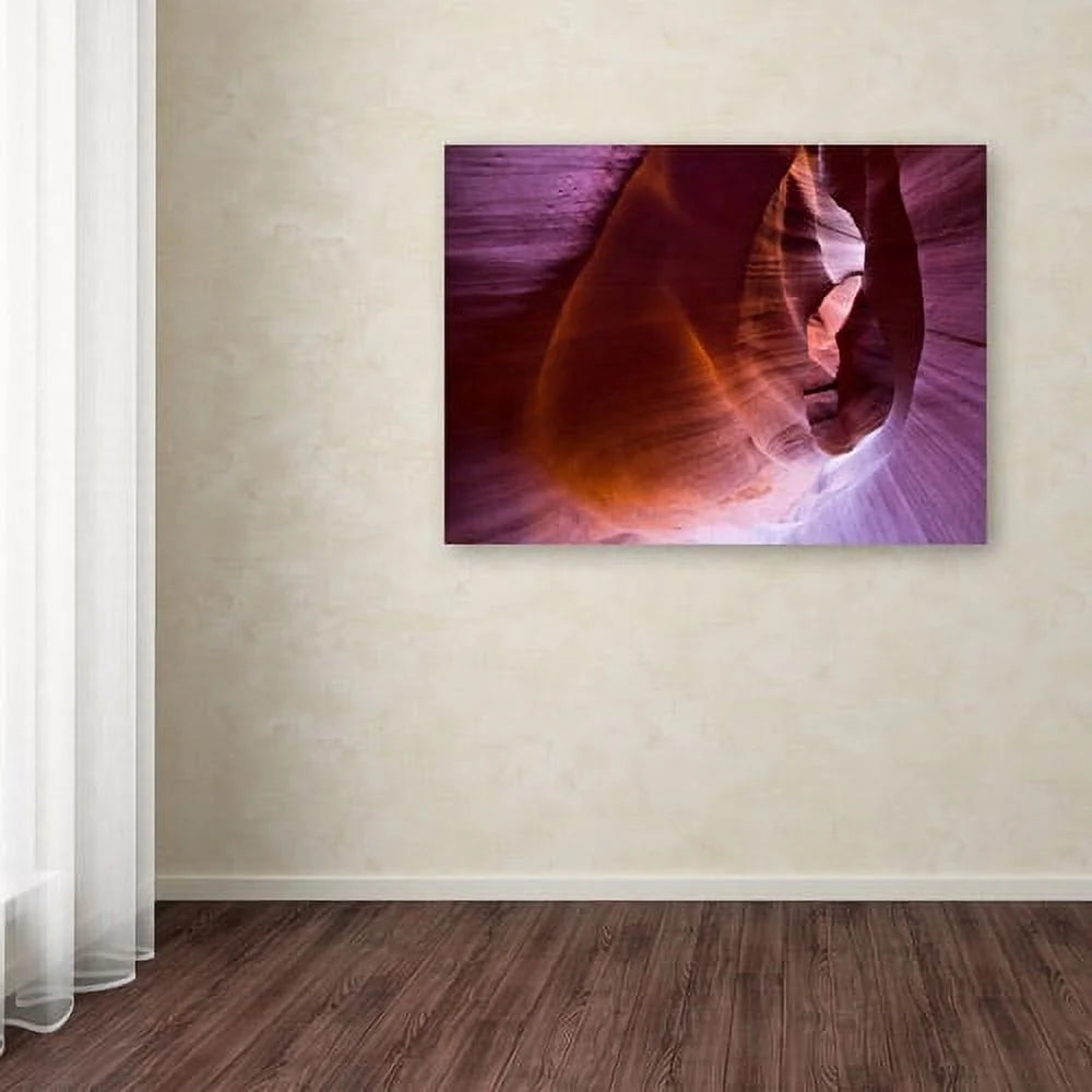 14" x 19" Canvas Art S704