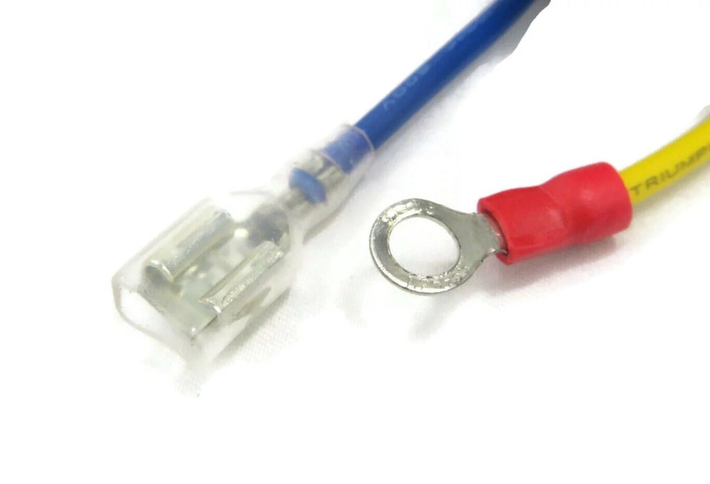 Potentiometer Throttle Box with Leads and Wire Harness V66939