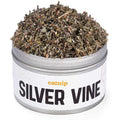 Silver Vine Catnip S58843