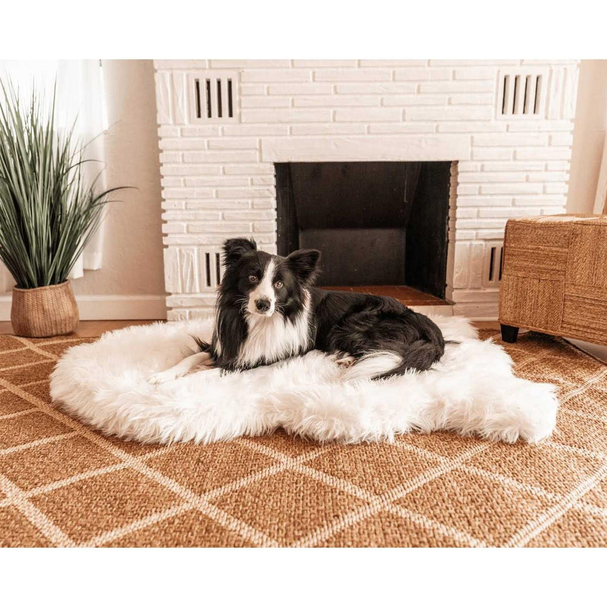 Faux Fur Orthopedic Dog Bed K402253