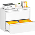 2 Drawer Metal File Cabinet with Lock White A99214