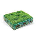 Grass Patch Cat Toy L951