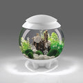 Aquarium with MCR Lighting A6072