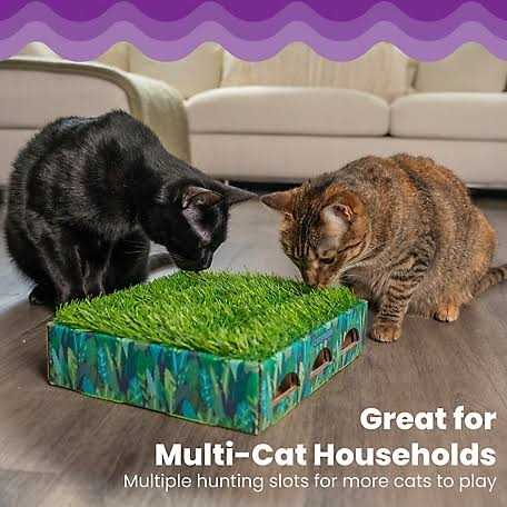 Grass Patch Cat Toy L951