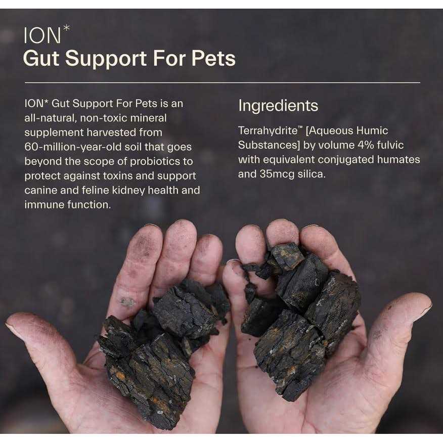 Gut Support For Pets Z5439