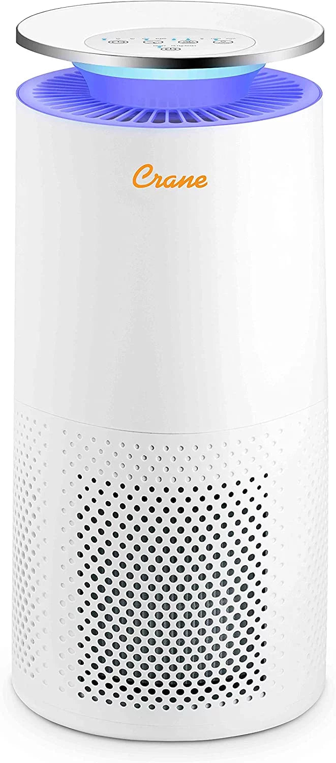 Air Purifier with True HEPA Filter W549597