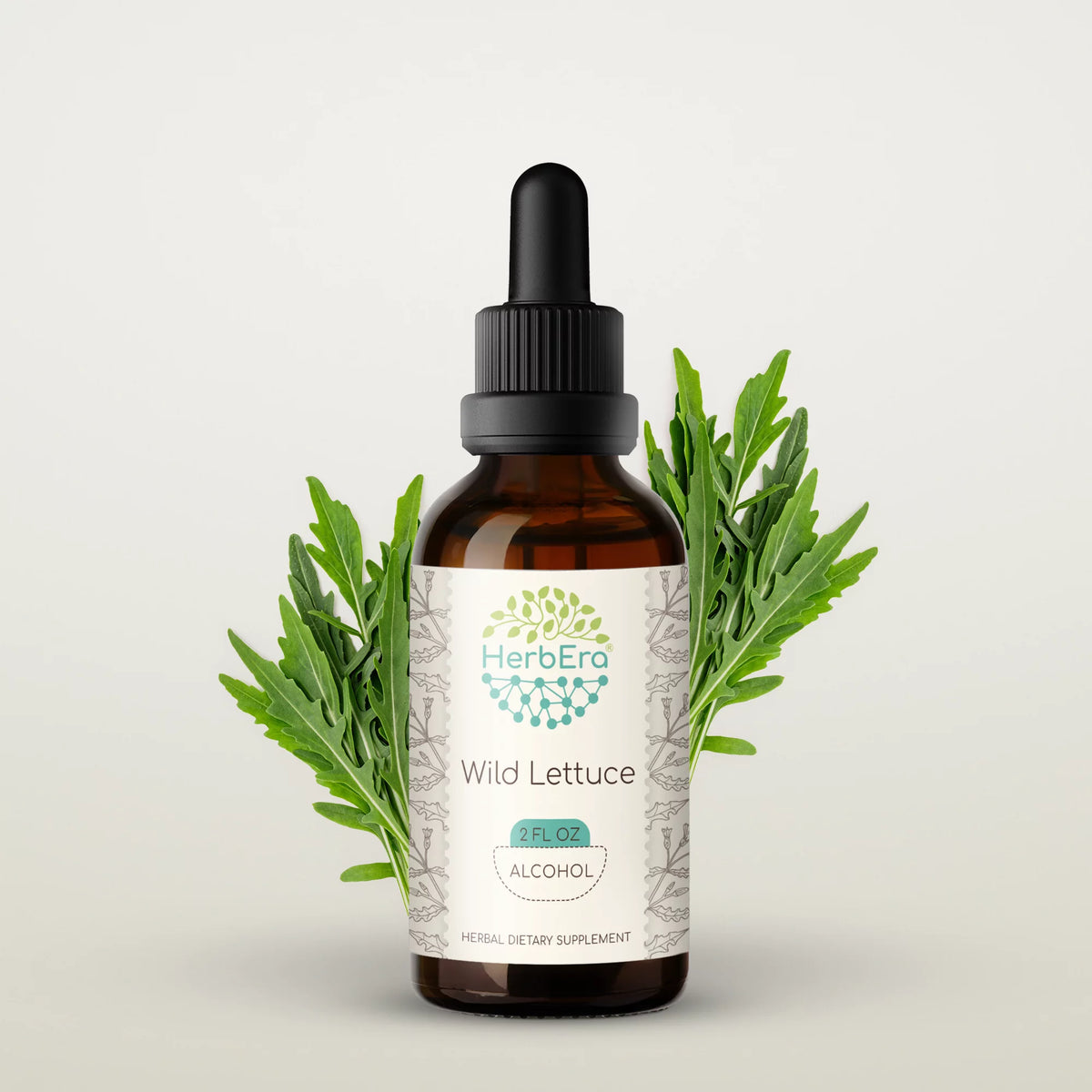 Wild Lettuce Herbal Extract Tincture 2 oz X76400