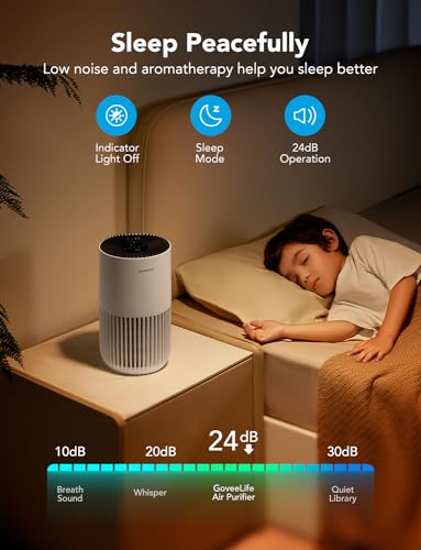 Mini HEPA Smart Air Purifier with 3 Speeds, 2 Modes, Timer I491